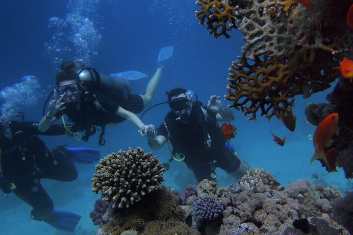 Antalya Kemer Scuba Diving: 2 Dives, Boat Trip & Hotel Pickup photo 3