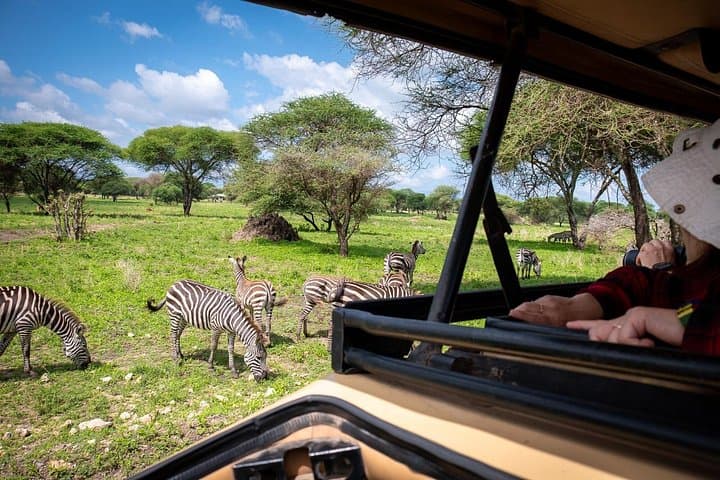 Day Safari in Tarangire National Park: Elephants, Baobabs & Birding from Arusha photo 2