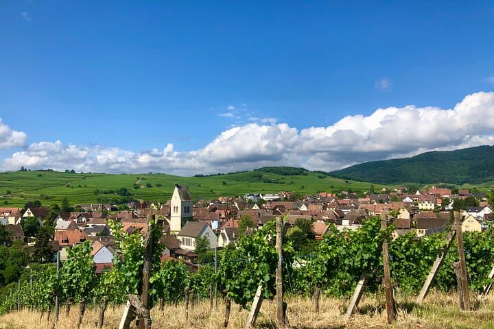 walking-the-mandelberg-vineyard-wine-tour-tasting-in-alsace photo 4
