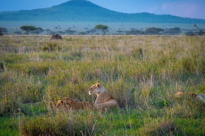 3-Day Group Safari: Serengeti & Ngorongoro Camping Adventure photo 3
