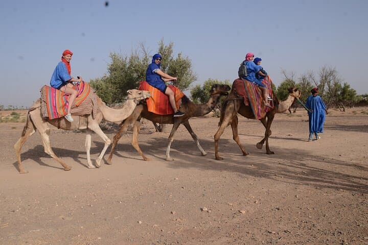 Marrakech Palmeraie Quad & Camel Ride — 2-Hour ATV Adventure with Transfer photo 5