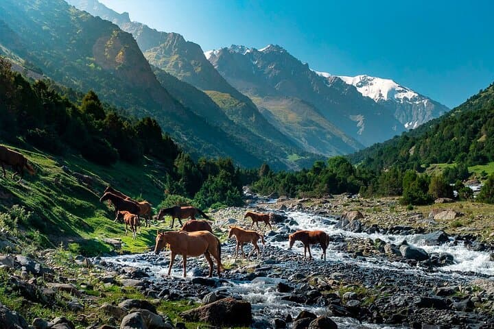 Lenin Peak Base Camp Trek: 8-Day Sary-Mogol Yurt Circuit & High-Pass Adventure photo 5