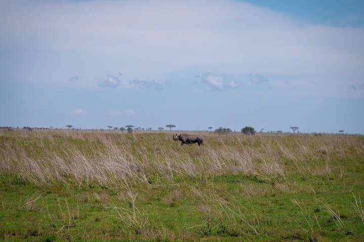 Budget 5-Day Tanzania Safari: Tarangire, Serengeti & Ngorongoro photo 2