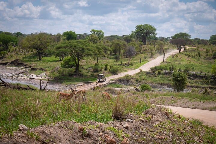 Budget 5-Day Tanzania Safari: Tarangire, Serengeti & Ngorongoro photo 5