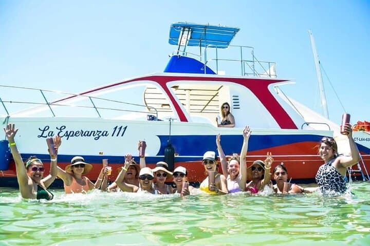 Private Punta Cana Catamaran: Half-Day Snorkel, Natural Pool & Open Bar