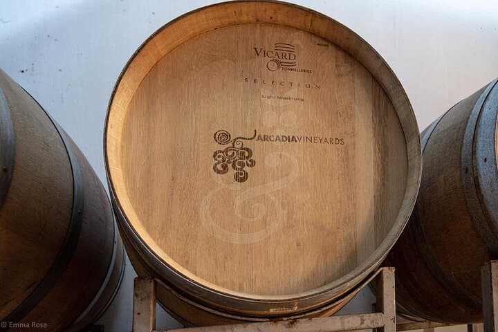 Private Tekirdag Wine Country Day Tour from Istanbul — Tastings & Vineyards photo 3