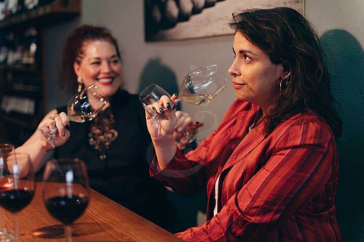 Private Tekirdag Wine Country Day Tour from Istanbul — Tastings & Vineyards photo 4