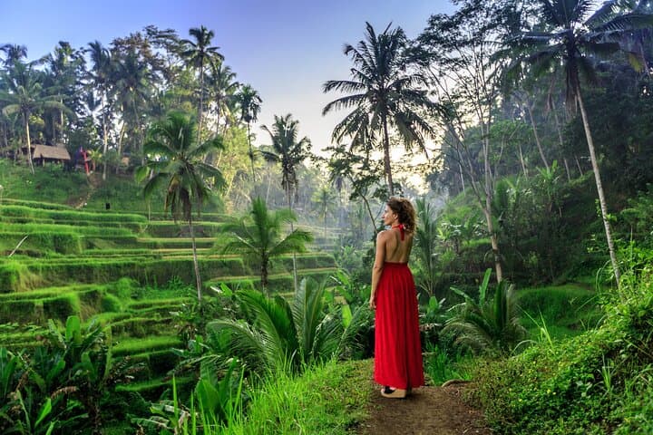 Best of Ubud Private Tour: Monkey Forest, Rice Terraces & Waterfalls photo 6