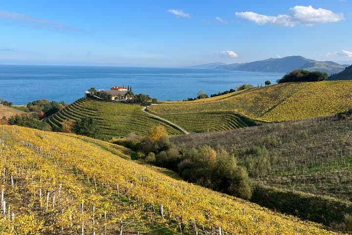 Coastal Camino & Txakoli: Zarautz to Getaria Wine-Walk from San Sebastián photo 2