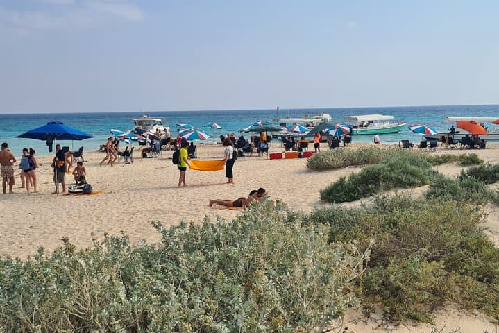 Yanbu Baridi Island Transfer and Red Sea Snorkel Excursion