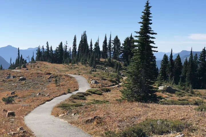 One-Day Mt. Rainier from Seattle: Paradise Meadows, Narada Falls & Longmire photo 5