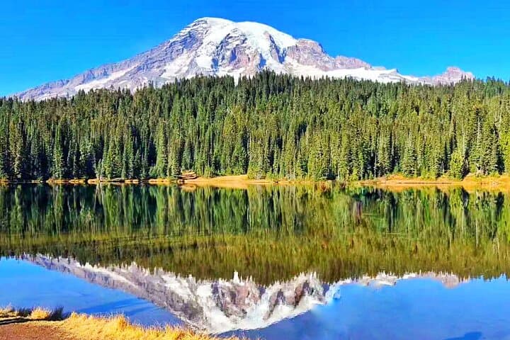 One-Day Mt. Rainier from Seattle: Paradise Meadows, Narada Falls & Longmire photo 2