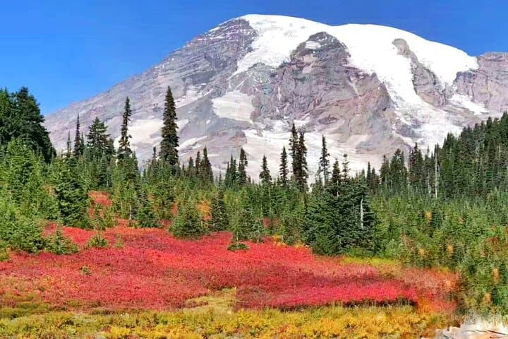 One-Day Mt. Rainier from Seattle: Paradise Meadows, Narada Falls & Longmire photo 6