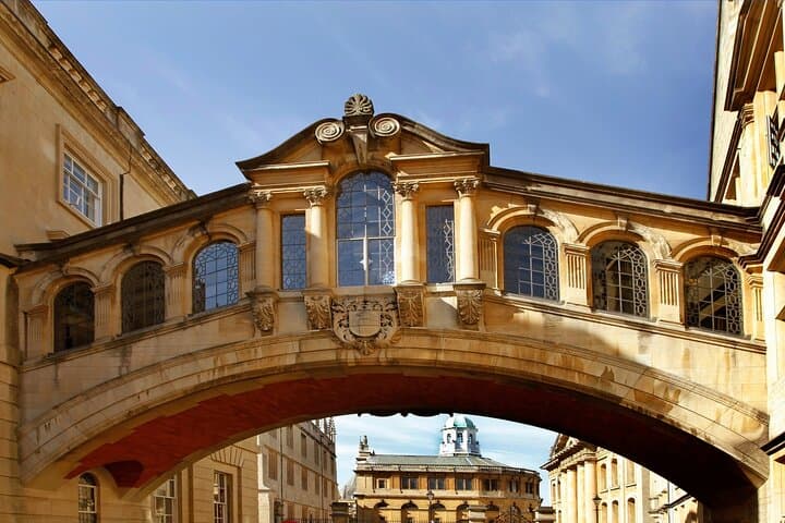 Top 10 Oxford Highlights: Divinity School & New College Walking Tour photo 3