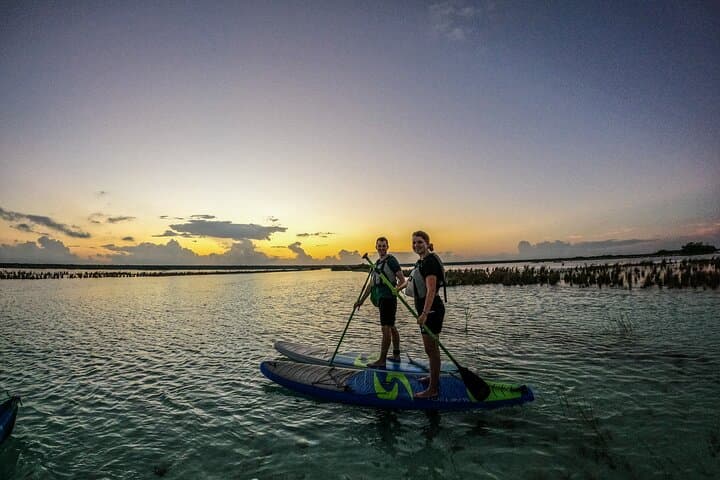 Sunrise Paddle Board Tour in Bacalar — Pirates Channel & Mangroves photo 6
