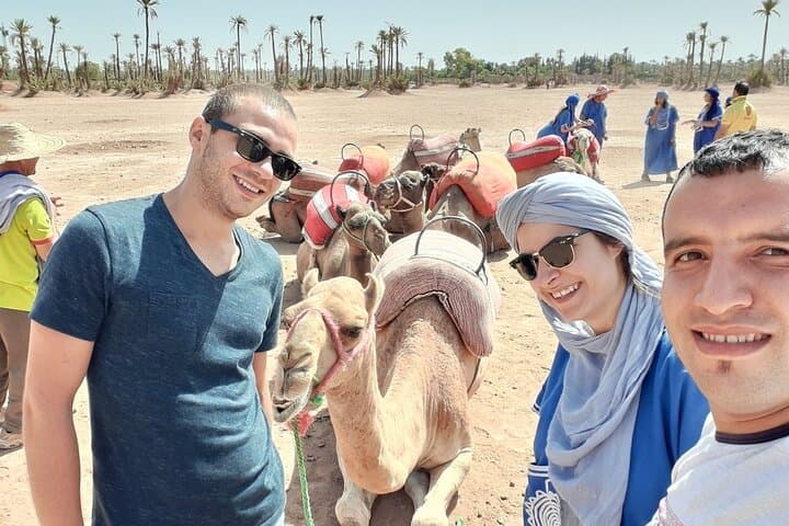 Sunset Camel Ride in Marrakech Palm Grove — 1-Hour Guided Tour photo 4
