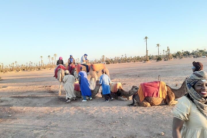 Sunset Camel Ride in Marrakech Palm Grove — 1-Hour Guided Tour photo 6
