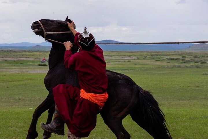 Essence of Mongolia: 3-Day Ger Stays, Dunes and Wild Takhi Horses photo 5