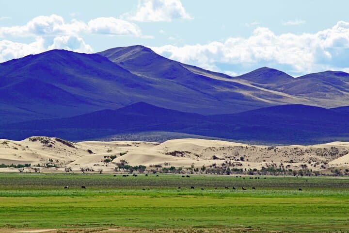 Essence of Mongolia: 3-Day Ger Stays, Dunes and Wild Takhi Horses