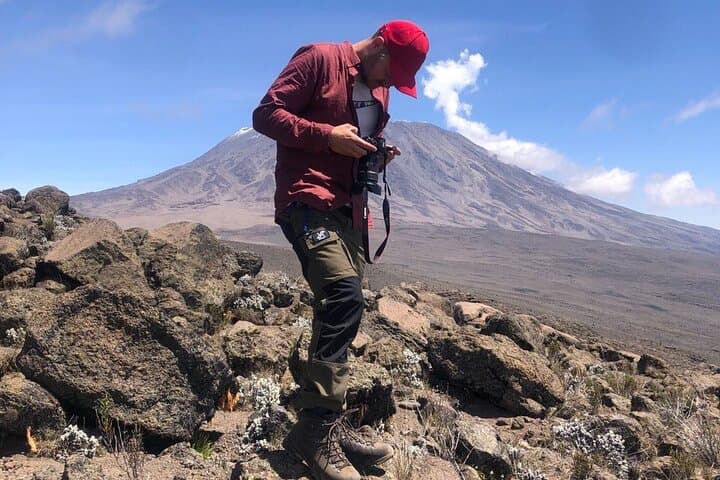 Kilimanjaro Lemosho Route: 8-Day Trek to Uhuru Peak via Shira Plateau photo 4