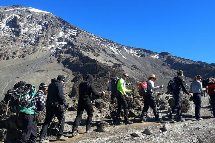 Rongai Route Mount Kilimanjaro: 7-Day Summit via the North Face photo 3