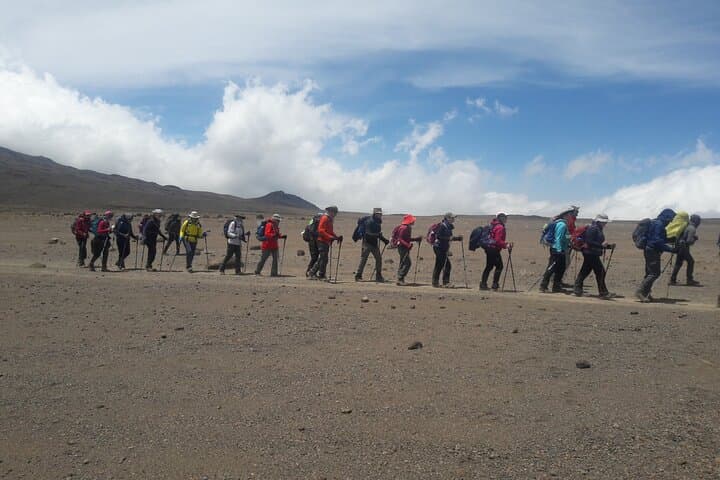 Rongai Route Mount Kilimanjaro: 7-Day Summit via the North Face photo 4