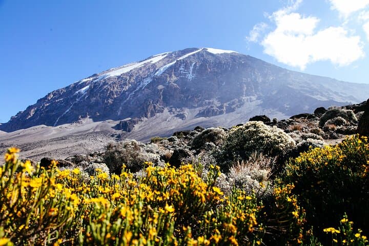Rongai Route Mount Kilimanjaro: 7-Day Summit via the North Face photo 5