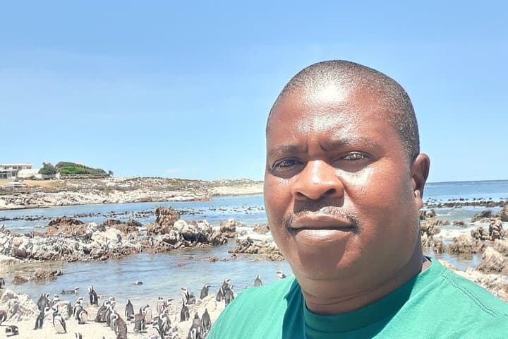 Private Scenic Cape Peninsula Tour: Table Mountain to Cape Point
