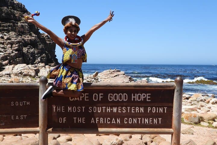 Private Cape Peninsula Tour: Cape of Good Hope, Cape Point & Boulders Penguins photo 4