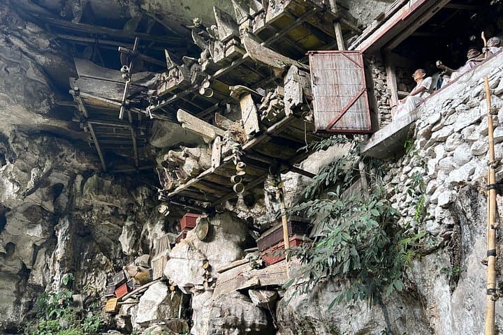 3-Day Toraja Cultural Immersion from Makassar — Cliff Burials, Tongkonan & Highland Views photo 4