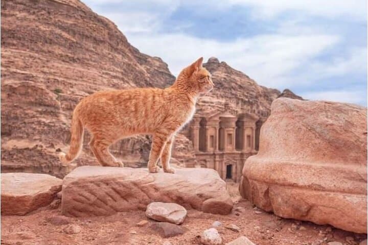 Indiana Jones Petra Back Road Trail — Private Half-Day Horseback Tour from Little Petra to the Monastery photo 1