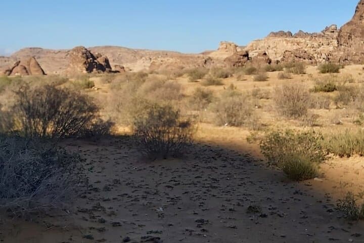 Indiana Jones Petra Back Road Trail — Private Half-Day Horseback Tour from Little Petra to the Monastery photo 4