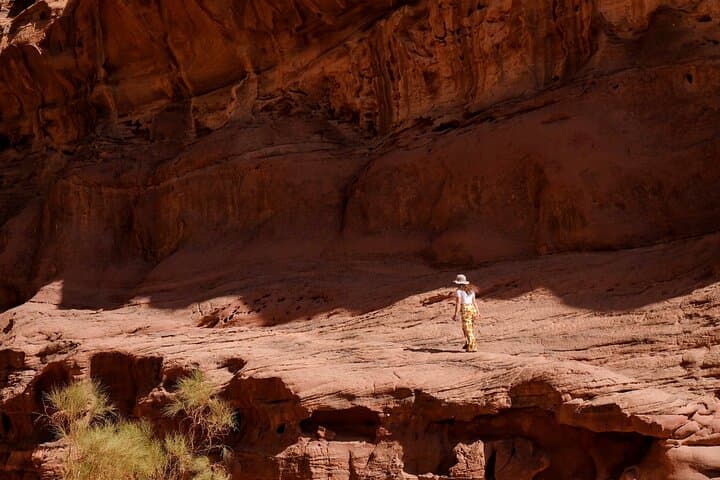 Wadi Rum 4-Hour Bedouin Jeep Tour — Red Dunes, Canyons & Rock Arches photo 4