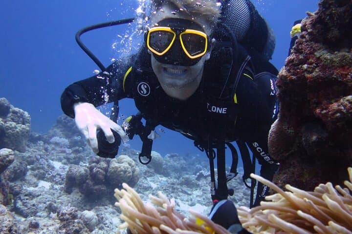 Discover Scuba Diving in Bel Ombre, Mauritius — Introductory PADI Experience