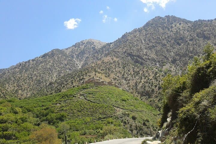 Ourika Valley Day Trip from Marrakech — Setti Fatma & the 7 Waterfalls photo 5