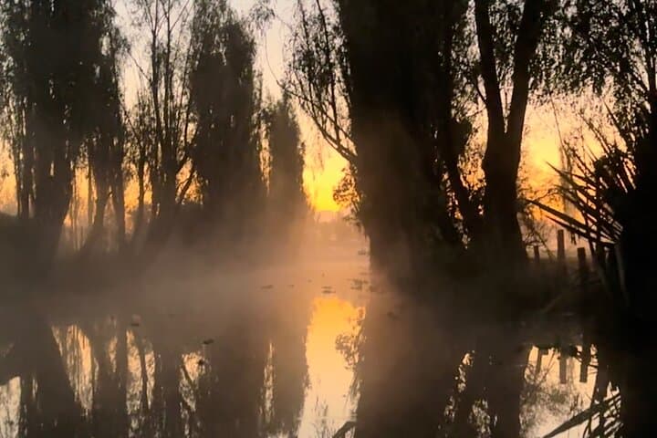Xochimilco Sunrise Cayuco Experience with Organic Chinampa Breakfast photo 4