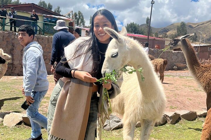 Cusco Archaeological Sites Tour & Qenqo Forest Photo Experience photo 5