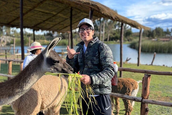 Cusco Archaeological Sites Tour & Qenqo Forest Photo Experience photo 6