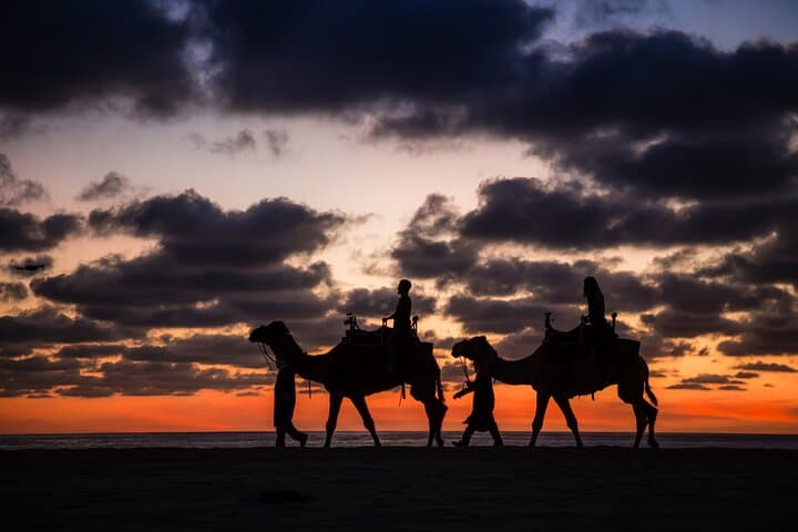 Sunset Beach Camel Ride in Cabo: Tequila Tasting & Mexican Buffet photo 2