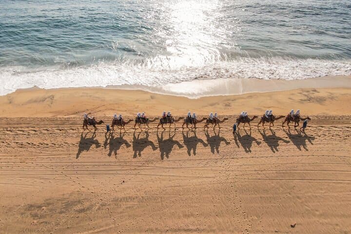 Sunset Beach Camel Ride in Cabo: Tequila Tasting & Mexican Buffet
