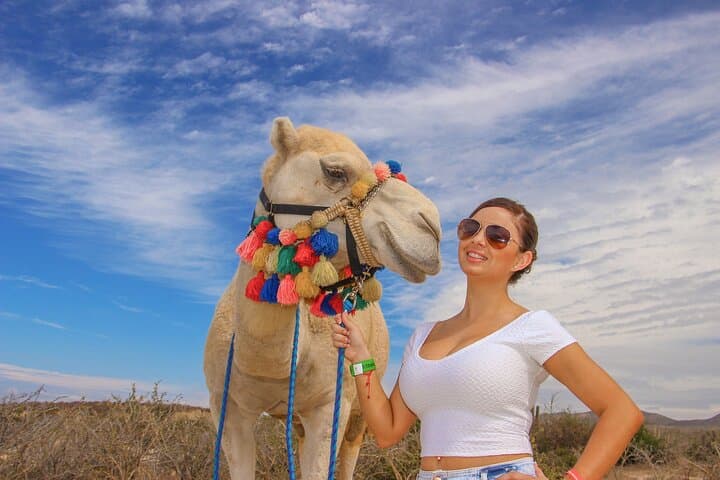 Sunset Beach Camel Ride in Cabo: Tequila Tasting & Mexican Buffet photo 6