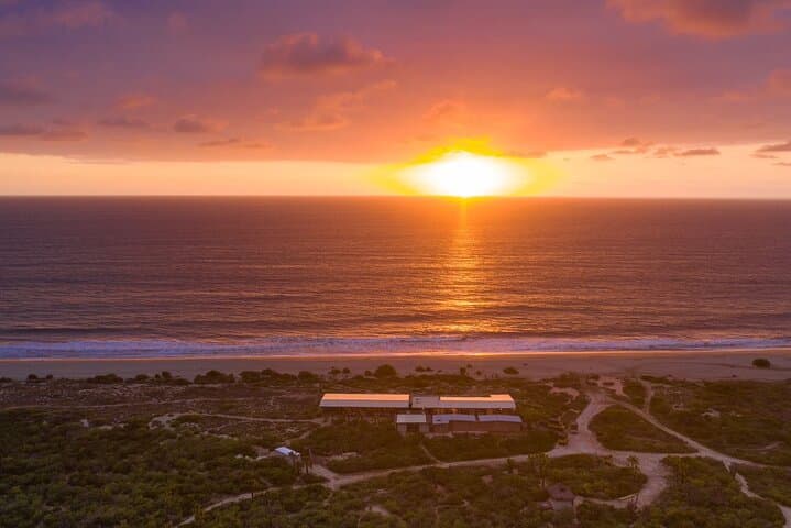 Sunset Beach Camel Ride in Cabo: Tequila Tasting & Mexican Buffet photo 4