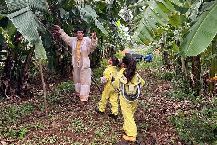 Bee Farm Ecotour and Honey Tasting in Waialua — North Shore Oahu photo 4