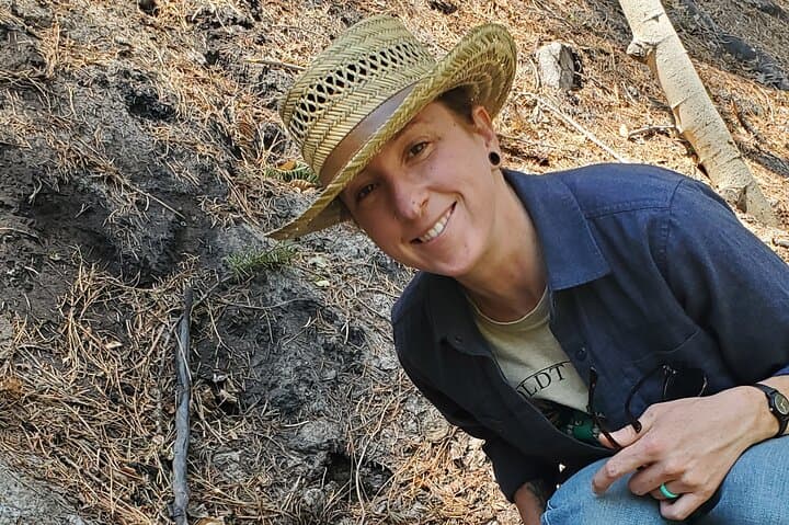 Rocky Mountain Foraging Experience: Wild Edibles & Fungi Hike in Boulder photo 5