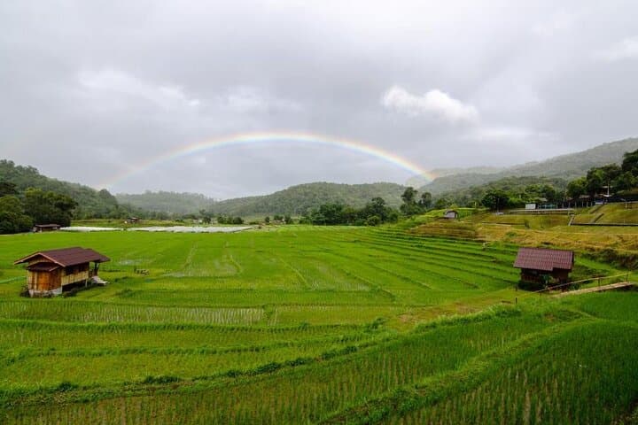 Doi Inthanon Full-Day Tour from Chiang Mai — Waterfalls, Royal Chedis & High-Altitude Trails photo 2