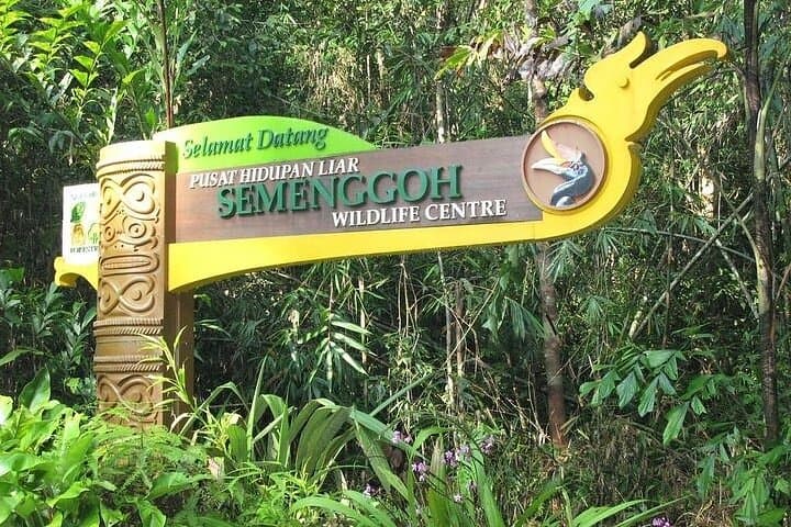 Semenggoh Orangutan Encounter: Half-Day Wildlife Tour from Kuching photo 2