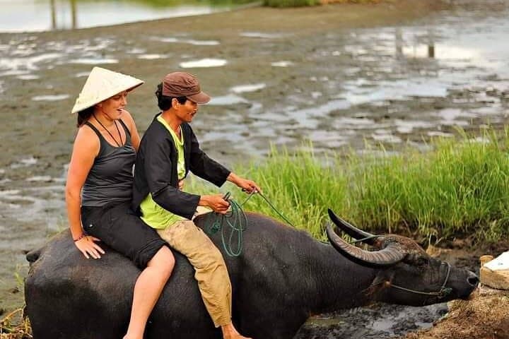 Hoi An Buffalo Ride and Basket-Boat Coracle Tour with Coffee Class and Lunch