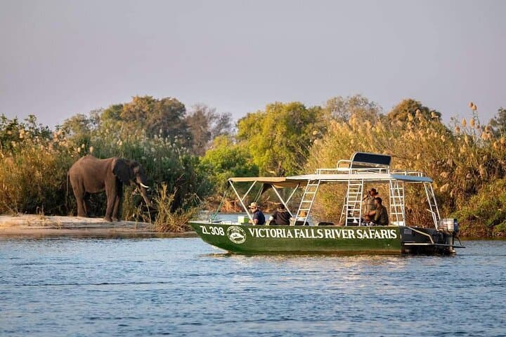 Zambezi River Safari: Close-Up Wildlife Cruises from Livingstone photo 1
