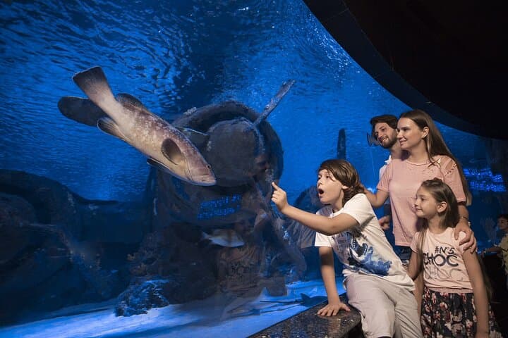 Half-Day Antalya Aquarium & Face2Face Wax Museum Tour — Antalya Aquarium Experience