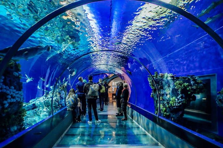 Half-Day Antalya Aquarium & Face2Face Wax Museum Tour — Antalya Aquarium Experience photo 4